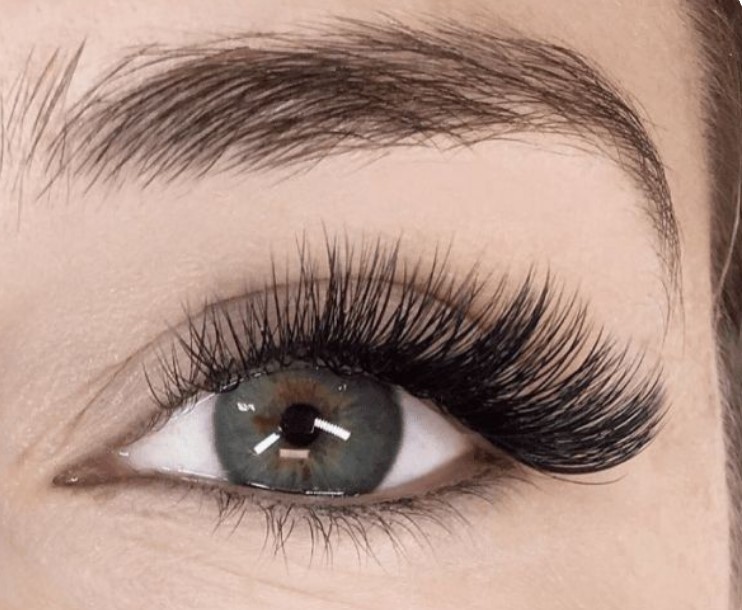 Hybrid Eyelash